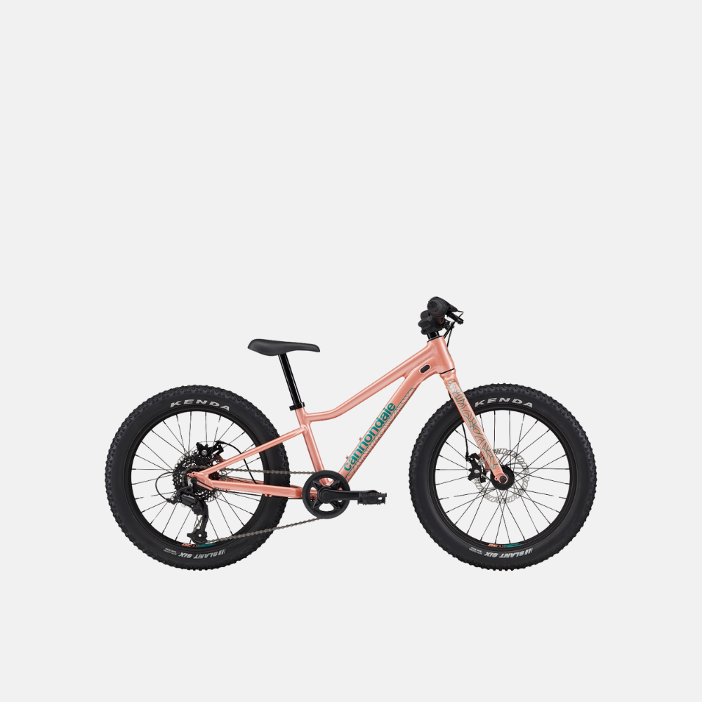 Cannondale Trail Plus 20 Salmon