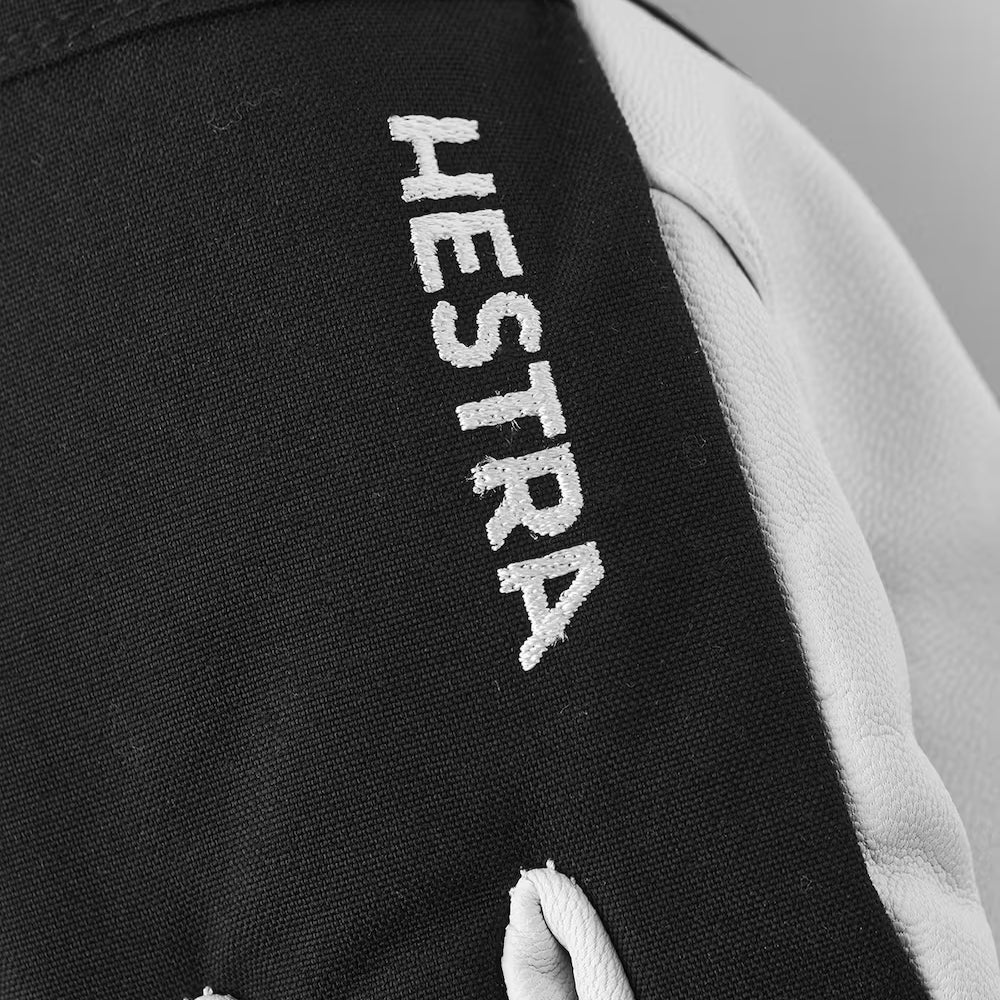 Hestra Army Leather Heli Ski 5-finger Svart