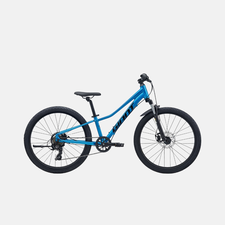 Giant Talon 24 Disc