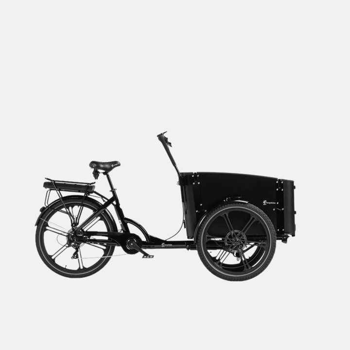Cargobike Flex