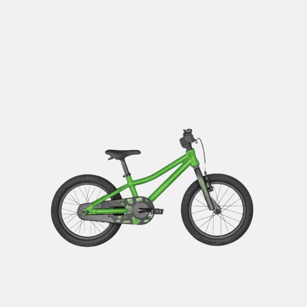 Scott Roxter Green