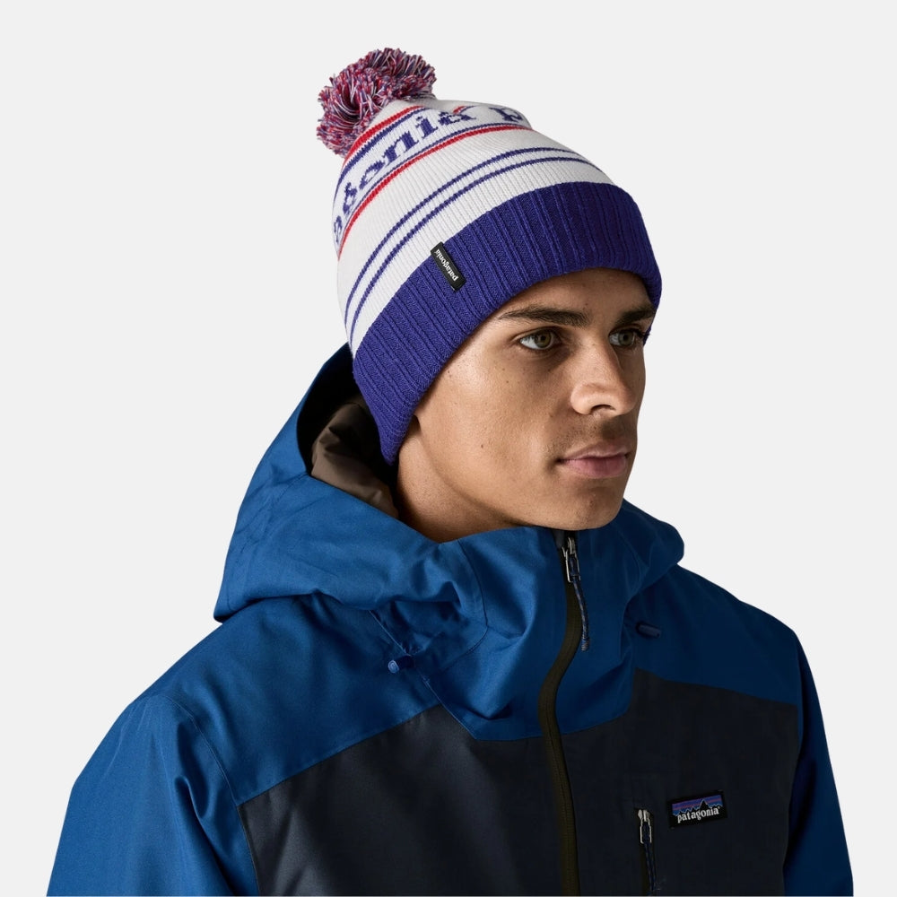 Patagonia Powder Town Beanie
