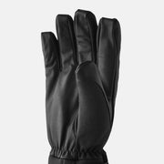 Hestra CZone Alpine - 5 finger Svart
