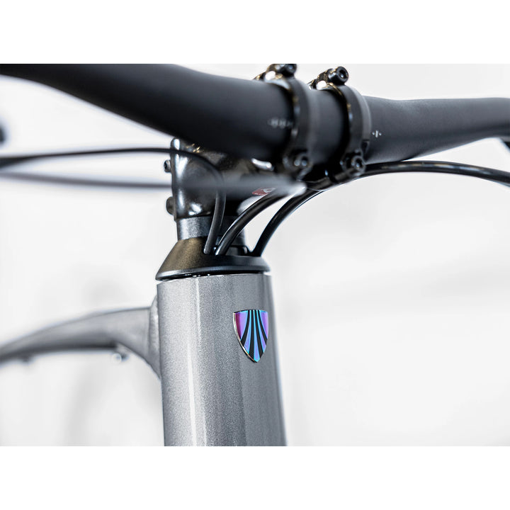Trek Dual Sport 2 Equipped Gen 5