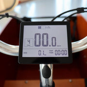 Babboe Curve E Sverige Edition 450