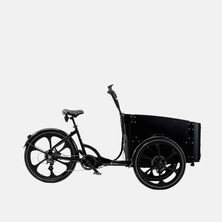 Cargobike Delight