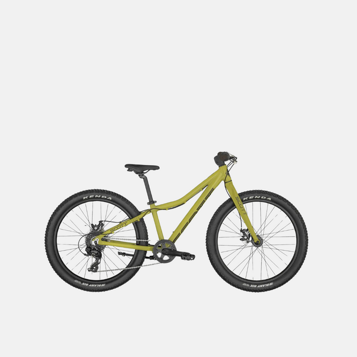 Scott Roxter 24 Green