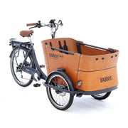 Babboe Curve E Sverige Edition 450