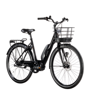 Ecoride Ambassador AXS M-5 E5 28