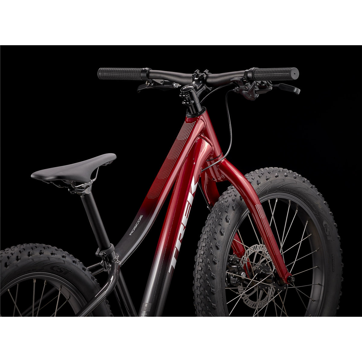 Trek Roscoe 20 Rage Red to Dnister Black Fade