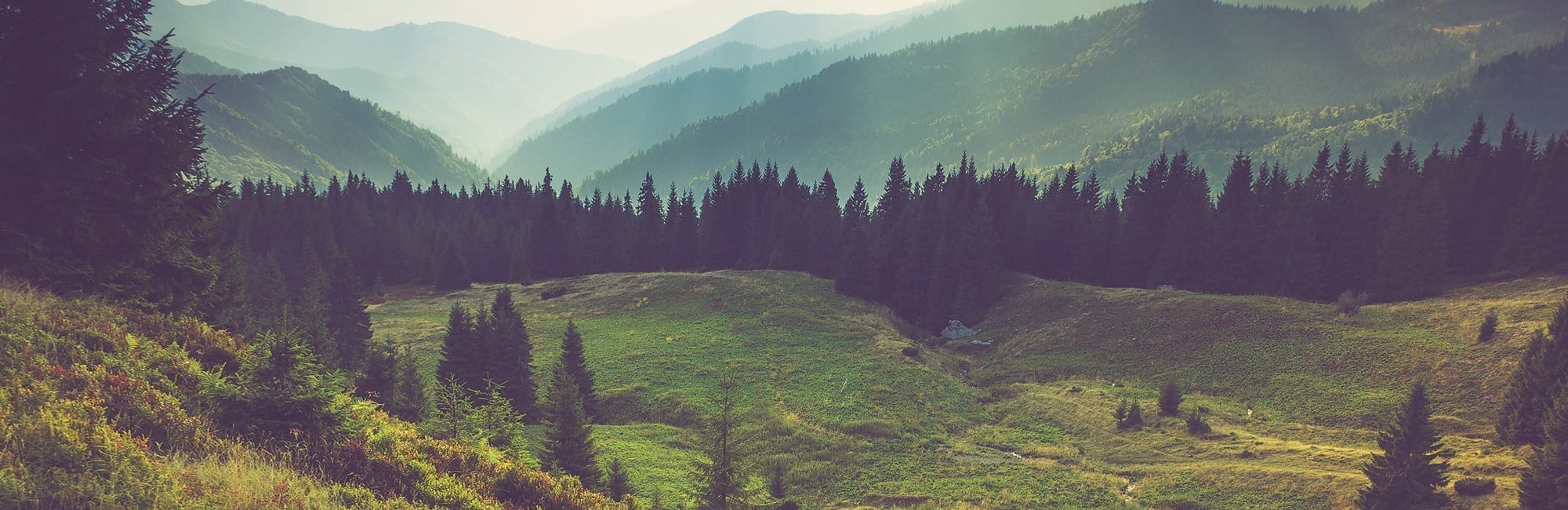 Cykel & längdspecialisten – Köp cyklar, längdskidor, friluftsutrustning i butik & online