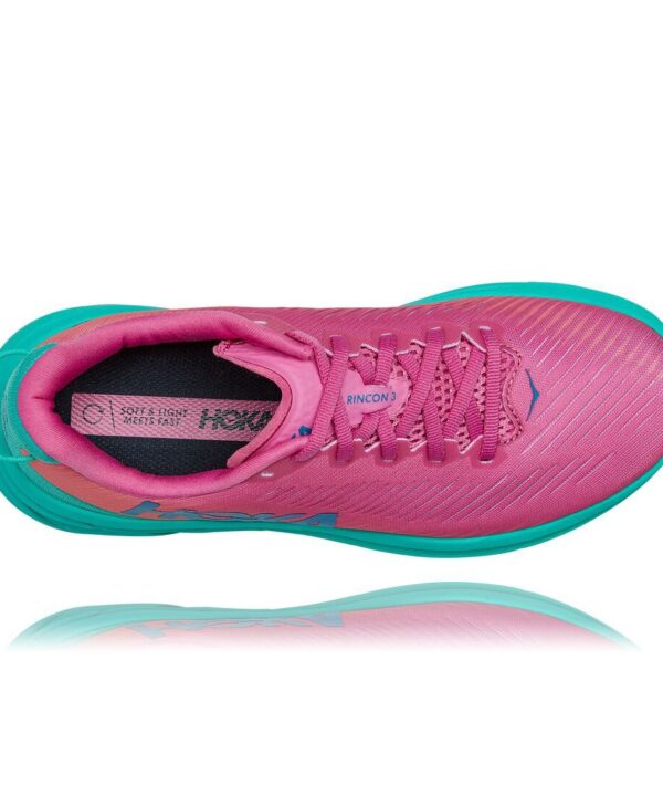 Cykel & längdspecialisten – Handla eller hyr cyklar, längdskidor, friluftsutrustning i butik & online