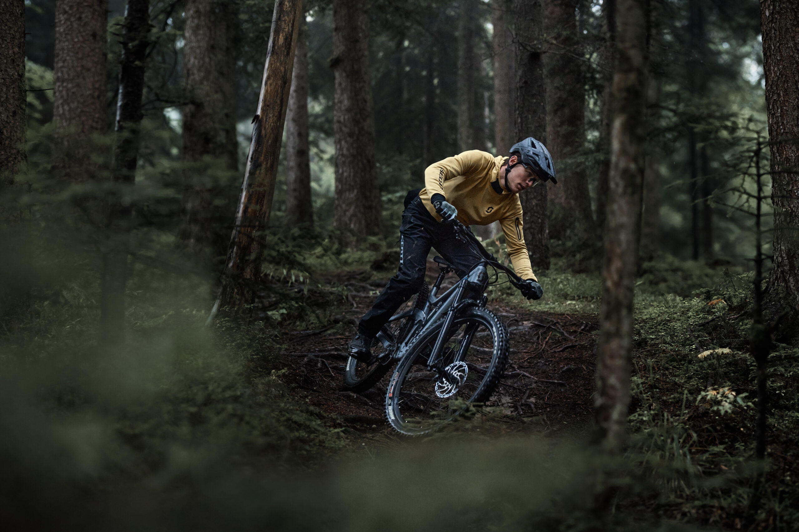 Cykel & längdspecialisten – Handla eller hyr cyklar, längdskidor, friluftsutrustning i butik & online