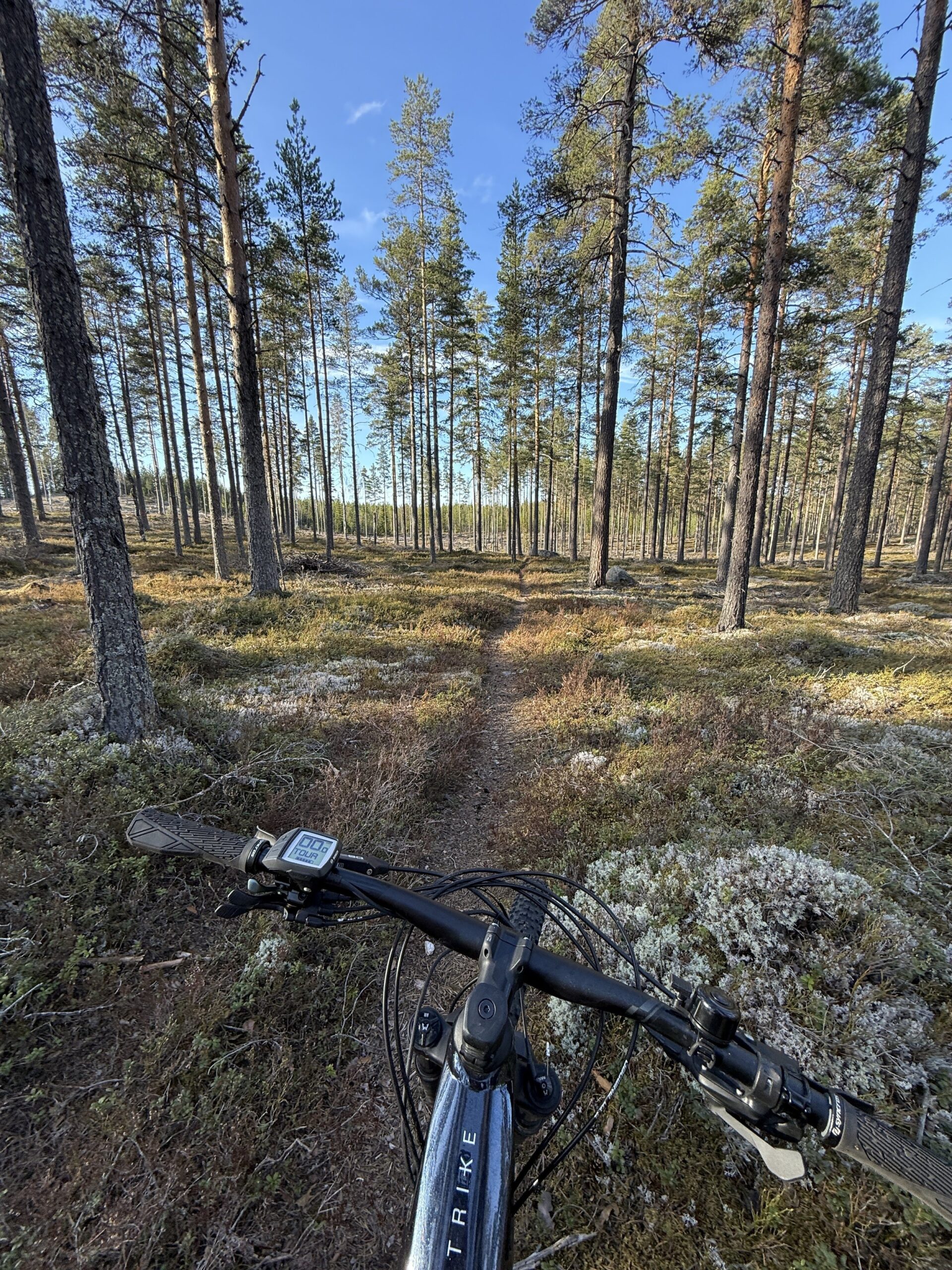 Cykel & längdspecialisten – Köp cyklar, längdskidor, friluftsutrustning i butik & online