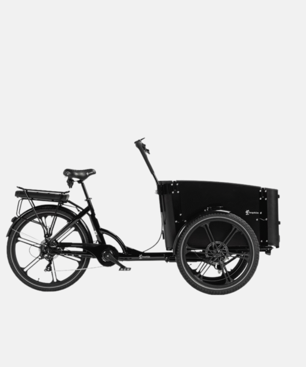Cargobike Flex